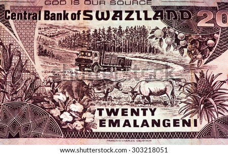 20 Swazi emalangeni bank note. Swazi emalangeni is the currency of Swaziland