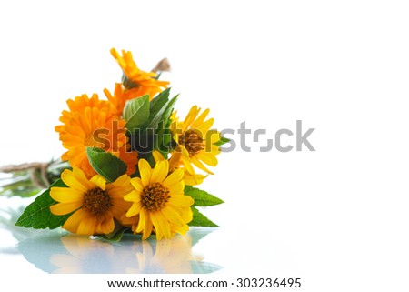 bouquet of flowers with summer daisies on a white background
