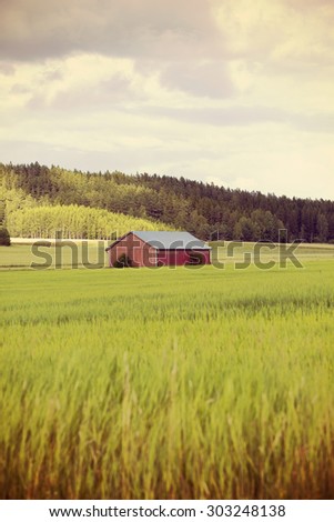 An old barn in the green field in the summer time. Image has a vintage effect applied.