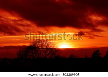Sunset over winter forest with clouds on evening sky