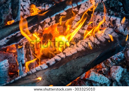 Bright flame of a fire and burn wood