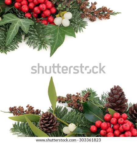 Christmas and winter background border with holly, mistletoe ivy, spruce fir, pine cones and cedar cypress over white background.