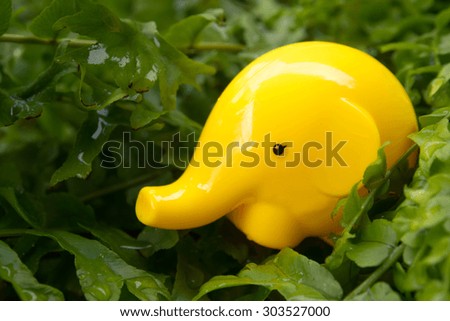 Yellow plastic elephant animal toy put in the fern wood.
