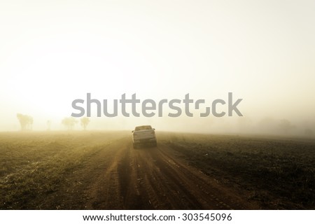 Road of Savannah Field in mist on morning.