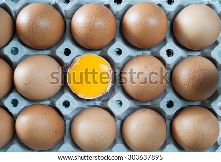 Eggs in panel, Close up