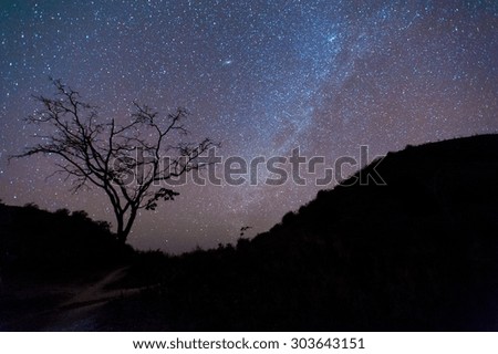 Milky Way Galaxy, Night Sky with Amazing Stars.