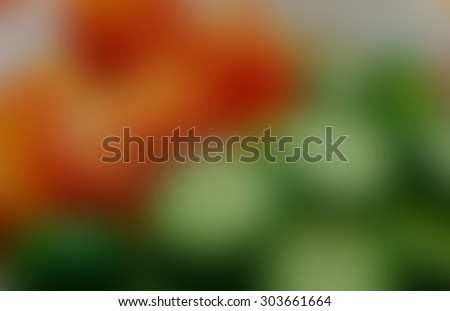 Abstract blurred defocused colored photo of the tomato adn cucumber