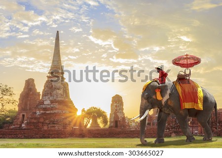 Elephant for Tourists on an ride tour of the ancient city in sunrise background