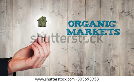 Hand holding environmental light bulb against pale wooden planks