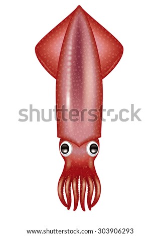 Illustration of squid. Neon flying squid. Frying squid. Asian cuttlefish without a long foot.