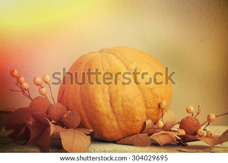 Autumn nature concept