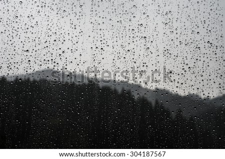 raindrops on glass on the background of the forest