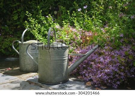 Two vintage metal watering cans in English garden in Devon.