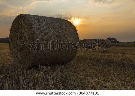 Sheaves of hay in the glow of the sunrise