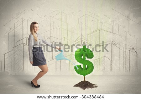 Business woman poring water on dollar tree sign concept on city background
