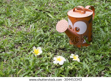 watering can with tiger pattern in front yard background