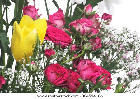 Bouquet of flowers on light background
