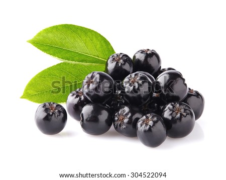 Chokeberry with leaves Royalty-Free Stock Photo #304522094