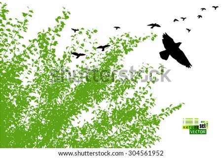The branches of trees with leaves with birds. Vector