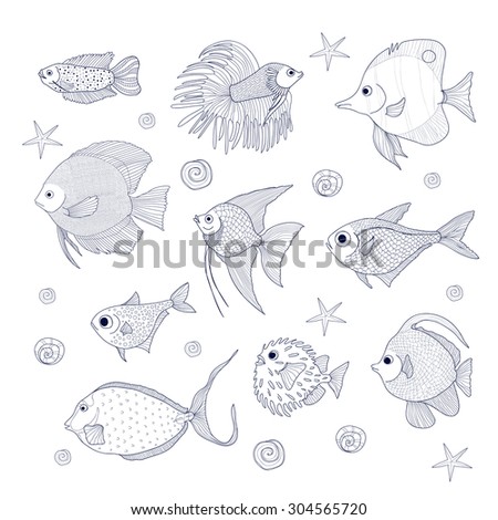 Set of 10 species of fish. Dwarf gourami, Scalar, Discus, Fish Cockerel, Pempheris vanicolensis, Chelman rostratas, and other. Sketch of aquarium and oceanic fishes 