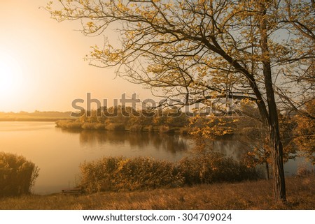 Beautiful autumn nature scene in sunset