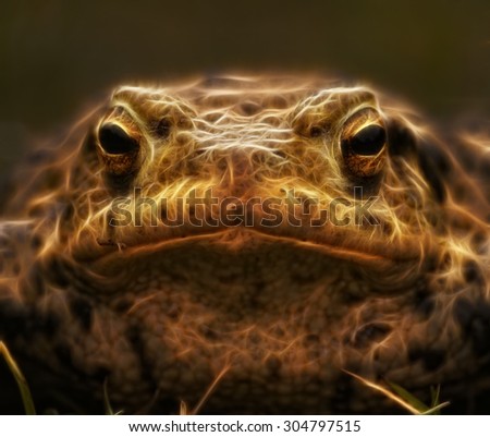Neon Toad                      