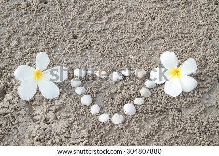 plumeria flower,Beach