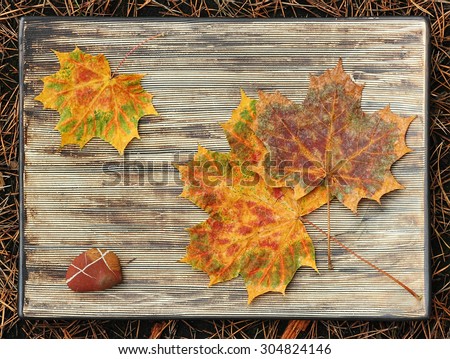 The theme of autumn leaves on a clay tray. Still life.