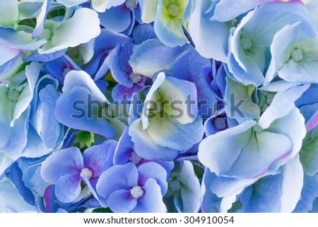 Blue fabric flowers closeup picture.