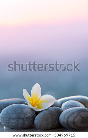 Plumeria flower and stones for spa background