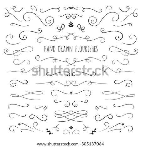 set of hand drawn vector flourishes ans curls