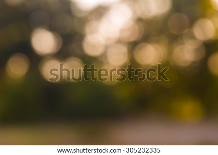 Beautiful colorful bokeh background. Natural defocused background of summer forest or water.