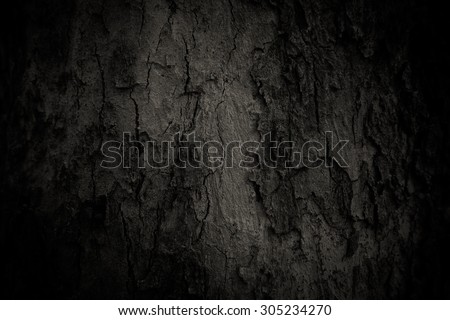 macro rugged tree wood skin texture detail black and white vintage color tone style / history mark