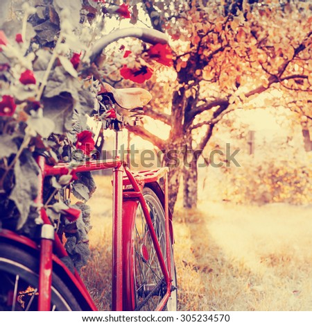 Vintage Bicycle with flowers on summer landscape background (toned picture)
