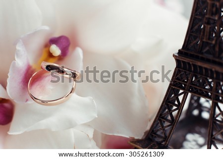 Wedding rings made of gold on the statue Eiffel Tower. Close-up. Wedding accessories. Female jewelry for girls. Details for the marriage of the spouses. Wedding day. Morning of the bride.