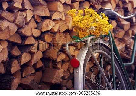 Vintage Bike with flowers of a tansy against chipped firewood in rural areas. Summer a background with bicycle ( (toned picture)