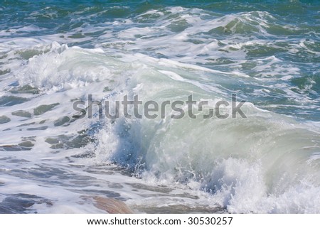 wave on the sea beach