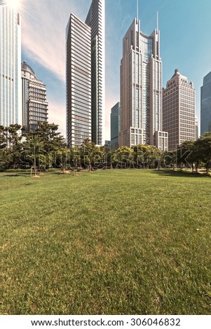 The grass and the city in shanghai,china