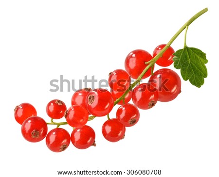 redcurrant with leaf Royalty-Free Stock Photo #306080708