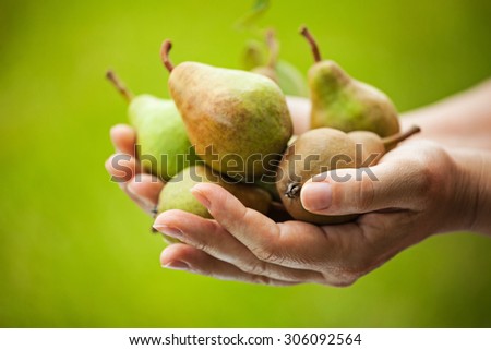 Female farmer holding pears from her orchard