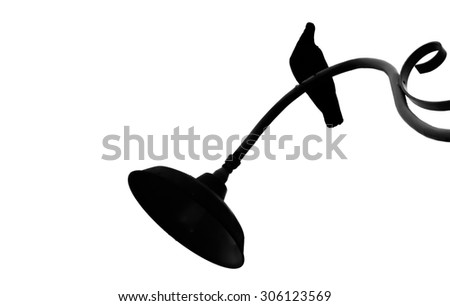 silhouette of pigeon bird hanging on streetlight isolated on white background
