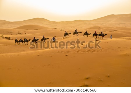 Dunes Erg Chebbi near Merzouga, Morocco -Camels caravan during a tour into the erg at sunset Royalty-Free Stock Photo #306140660