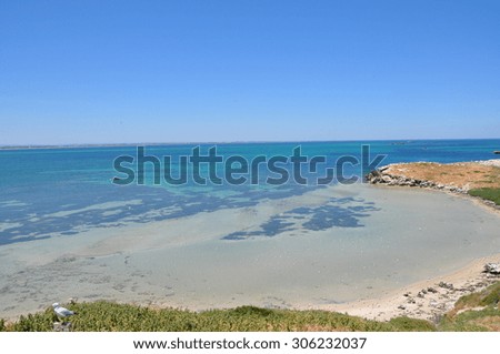 Penguin Island, Western Australia/Penguin Island/View from the top