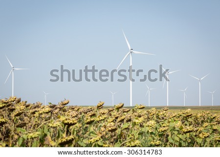 Color picture of windmills for renewable electric energy production