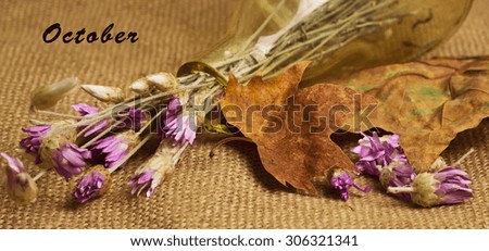 Label with word october and dry yellow maple leaves and everlasting flowers in the glass bottle on sackcloth background