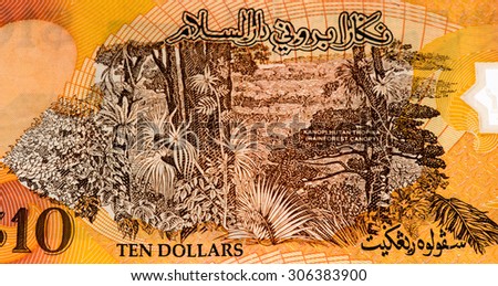 10 dollar bank note of Brunei.