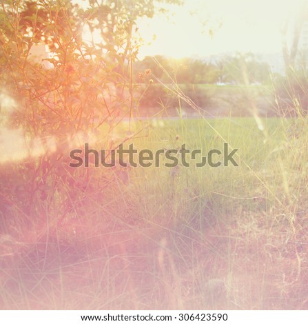 dreamy and abstract landscape with lens flare. retro style image
