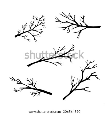 Hand drawn silhouettes of tree branches on white background. Vector illustration