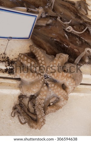octopus fresh ice