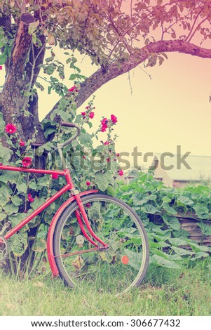 Vintage Bicycle with flowers on summer landscape background (toned picture) 